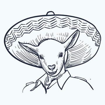 Vintage hand drawn sketch sombrero goat