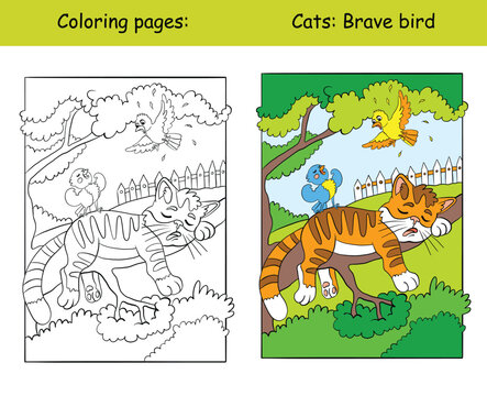 Coloring and color cat sleeping on a tree vector