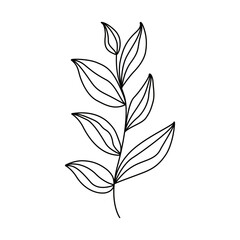 Vector illustration Botany.Flowers.Twig. Abstract leaves. Print for textiles, web design, social networks, dark gray, black, stylish twig with leaves on a white background. Poster.Print.Element .