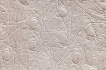 White artificial or synthetic leather background with neat texture and copy space