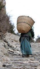 Tr&auml;gerin im Himalaya