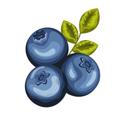 Vector cartoon blueberries with leaves. Isolated on white background. Icon for your design. for pattern, badge, label, textile etc.Forest fruit plant. Realistic vector illustration isolated on white 