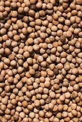 Dry seeds of peas for sowing. Ripe green pea seeds close-up. Preparation for garden season in early spring. Top down view. Preparation of seeds for sowing. Agricultural background
