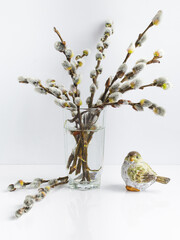 willow branches in a glass on a white background