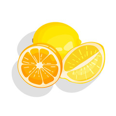 Isolated vector illustration of citrus fruit lemons and orange halves.