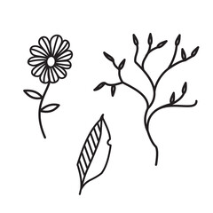 illustration flowers and tree set, black outline flowers, concept