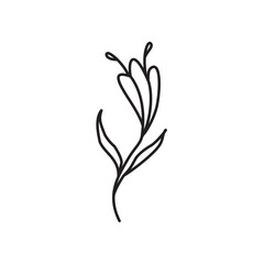illustration flower tulip, black outline flower, concept