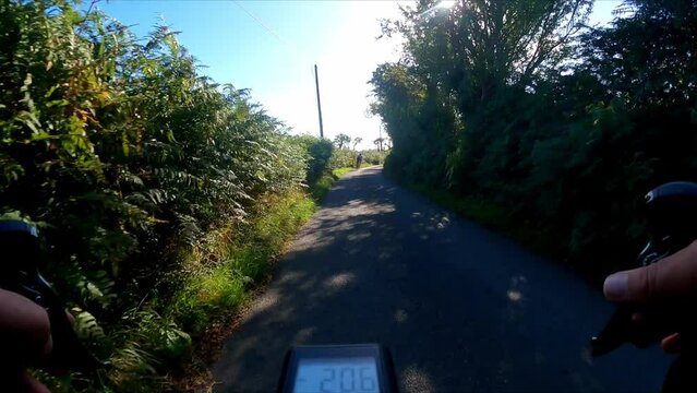 Cycling through tht lanes of Kilkenny, quiet green leafy lanes with no traffic, the countryside is at its summer best, fantastic way to spend a Sunday