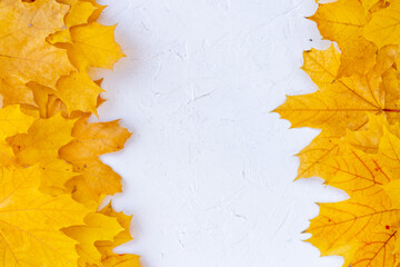 Autumn leaves frame on white background top view Fall Border yellow and Orange Leaves vintage structure table Copy space for text.