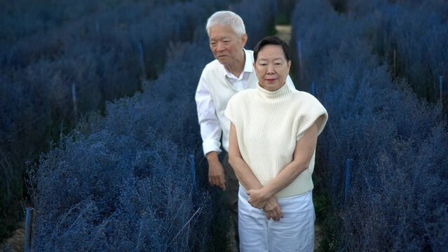 Asian senior sweet old couple walking travel to purple magical flower field