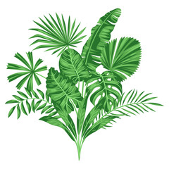 Background with stylized palm leaves. Image of tropical foliage and plants.