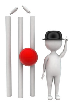 3d umpire showing out concept