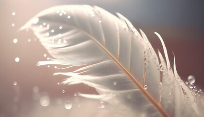 Gentle white feather with drops of dew on a beautiful background