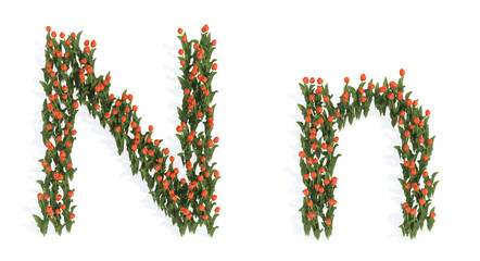 Concept or conceptual set of beautiful blooming tulip bouquets forming the font N. 3d illustration metaphor for education, design and decoration, romance and love, nature, spring or summer.
