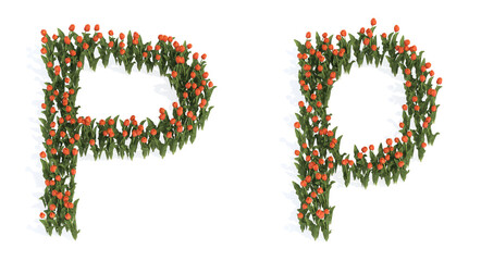 Concept or conceptual set of beautiful blooming tulip bouquets forming the font P. 3d illustration metaphor for education, design and decoration, romance and love, nature, spring or summer.