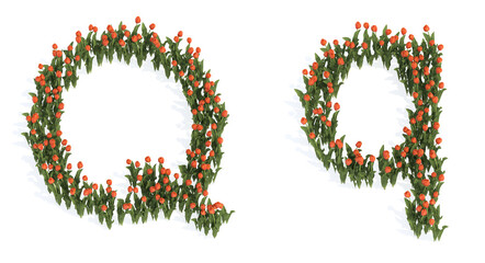 Concept or conceptual set of beautiful blooming tulip bouquets forming the font Q. 3d illustration metaphor for education, design and decoration, romance and love, nature, spring or summer.