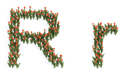Concept or conceptual set of beautiful blooming tulip bouquets forming the font R. 3d illustration metaphor for education, design and decoration, romance and love, nature, spring or summer.