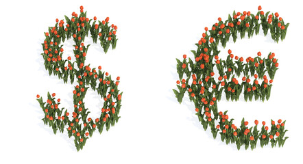 Conceptual set of beautiful blooming tulip bouquets forming the euro and dollar signs. 3d illustration metaphor for education, design and decoration, romance and love, nature, spring or summer.