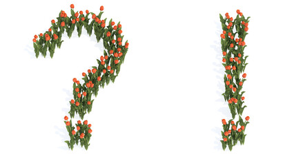 Concept or conceptual set of beautiful blooming tulip bouquets forming the ? and ! signs. 3d illustration metaphor for education, design and decoration, romance and love, nature, spring or summer.