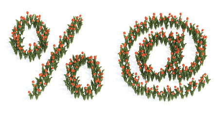 Concept or conceptual set of beautiful blooming tulip bouquets forming the % and at signs. 3d illustration metaphor for education, design and decoration, romance and love, nature, spring or summer.