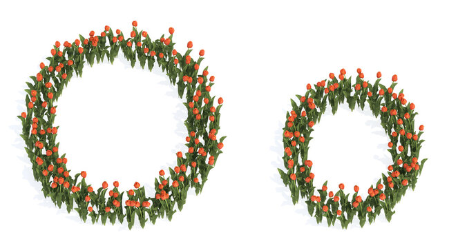 Concept or conceptual set of beautiful blooming tulip bouquets forming the font O. 3d illustration metaphor for education, design and decoration, romance and love, nature, spring or summer.
