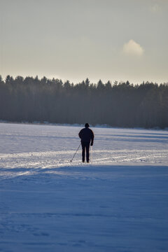 Panoramic view of male person cross-country skiing in beautiful nordic winter landscape in Scandinavia