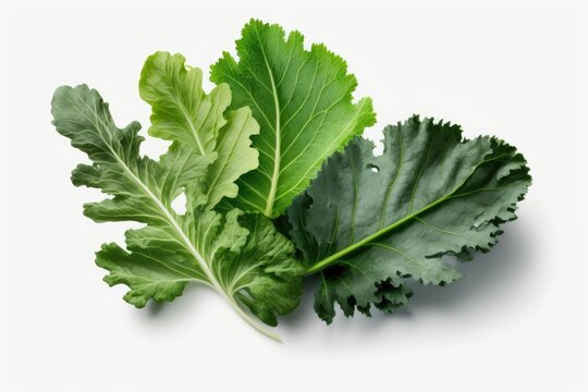 On a white background, fresh vegetable leaves are isolated. Generative AI