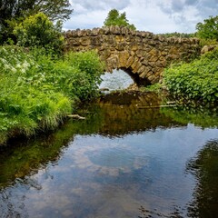 Fototapeta na wymiar Bridge over pond with hidden underwater well at Hardwick Country Park