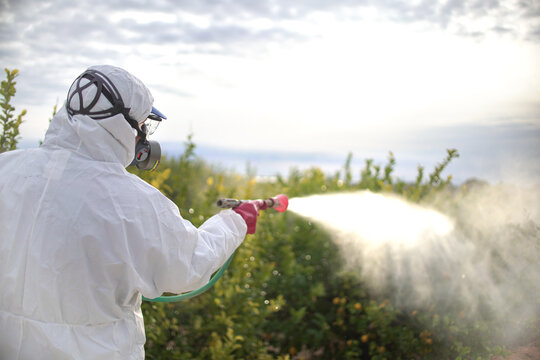 Spray ecological pesticide. Farmer fumigate in protective suit and mask lemon trees
