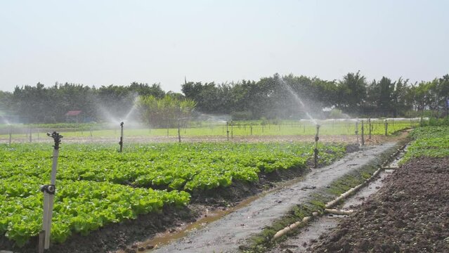 Automatic irrigation and sprinkler system for farmland planting