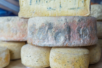 Assortment of cheese in small cheese dairy.