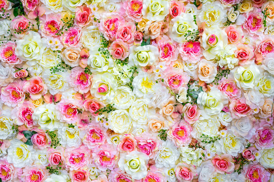 many different colors. different types of roses. Colorful roses background