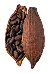 Cocoa pod on transparent background. png file