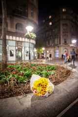 Fototapeta na wymiar Selective blur on a bunch of flowers, a bouquet, abandoned, left in the street of Kneza Mihalova in belgrade at night, it's the main pedestrian street of the city.