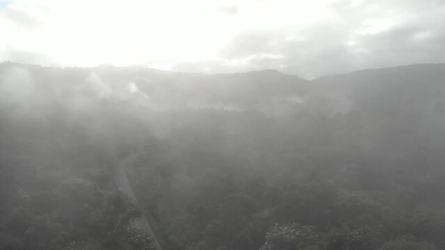 Flying among the fog of the Cloud Forest in Mindo, Ecuador