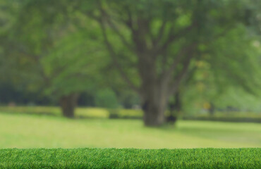Green grass field table top podium floor blurred park outdoors tropical forest nature background.Healthy organic natural product placement pedestal stand display,spring or summer jungle paradise.