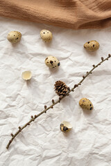 Quail eggs and branch with cone on pastel crumpled paper background with wool fabric. Easter creative concept. Top view. Flat lay.