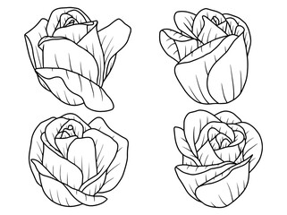 Hand drawn flower sketch line art illustration set