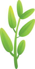 Eco sage icon cartoon vector. Leaf plant. Aromatic basil