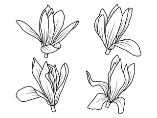 Hand drawn flower sketch line art illustration set