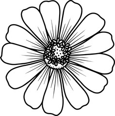 Sketch flower with line art illustration
