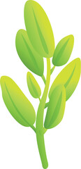 Sage plant icon cartoon vector. Herb leaf. Aromatic green