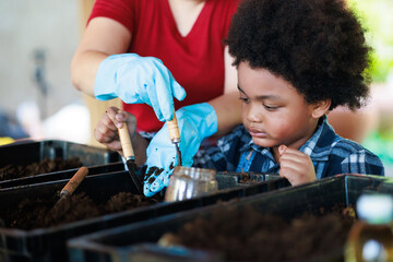 How to make manure. young american african black boy farmer learning out of school