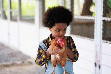 young american african black boy farmer holds a hen in the chicken coop at the garden