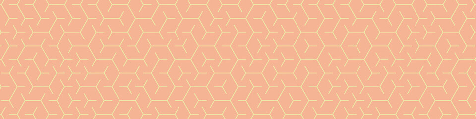  Hexagonal Maze pattern abstract illustration