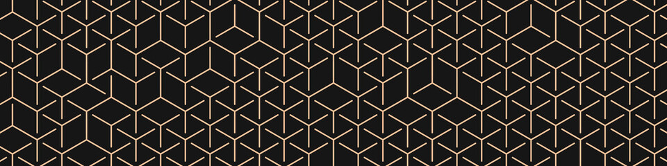  Hexagonal Maze pattern abstract illustration