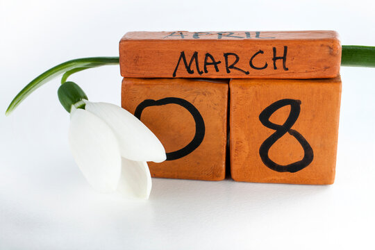 Concept of 8 martch with snowdrop, number and month. Women's  Day