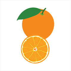 An orange is a type of citrus fruit-Vector Art Work