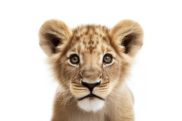 Obraz na płótnie Canvas Baby lion portrait. Generative AI illustration
