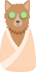 Cat spa icon cartoon vector. Dog animal. Puppy care